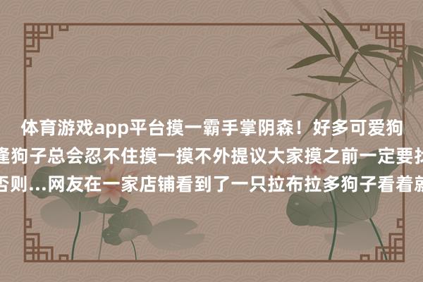 体育游戏app平台摸一霸手掌阴森！好多可爱狗狗的东说念主在路上遭逢狗子总会忍不住摸一摸不外提议大家摸之前一定要找找有莫得处所洗手否则...网友在一家店铺看到了一只拉布拉多狗子看着就乖巧可儿网友忍不住上手了对狗子一阵狂撸之后网友一看黢黑的手难熬了这货看着干净其实身上是真脏啊宝宝你是产机油的吧她把这件事在网上共享后发现存不少网友齐有过这种体验齐在挑剔区共享了我方摸到的脏脏小狗以后遭逢讨摸摸狗子一定要属