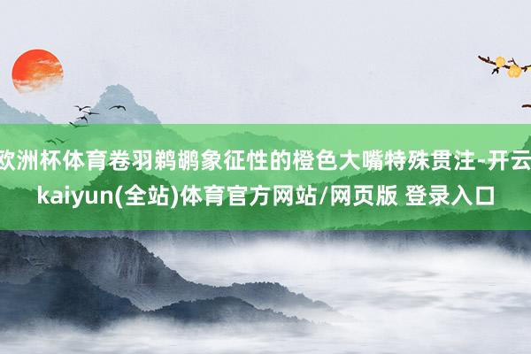 欧洲杯体育卷羽鹈鹕象征性的橙色大嘴特殊贯注-开云·kaiyun(全站)体育官方网站/网页版 登录入口