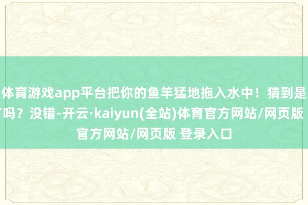 体育游戏app平台把你的鱼竿猛地拖入水中！猜到是什么鱼了吗？没错-开云·kaiyun(全站)体育官方网站/网页版 登录入口