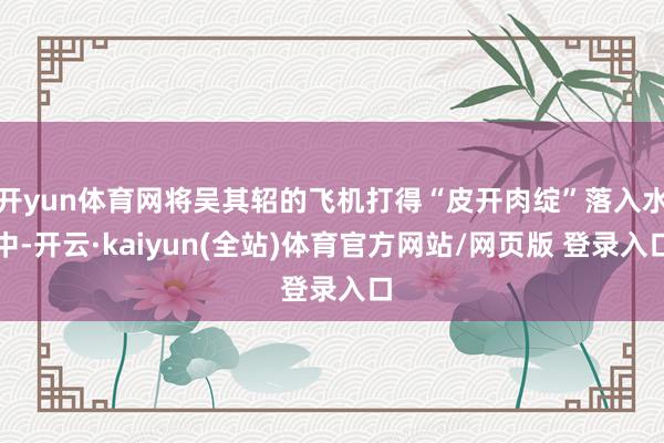 开yun体育网将吴其轺的飞机打得“皮开肉绽”落入水中-开云·kaiyun(全站)体育官方网站/网页版 登录入口