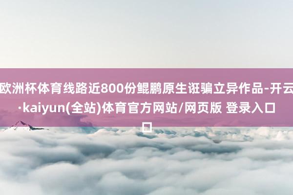 欧洲杯体育线路近800份鲲鹏原生诳骗立异作品-开云·kaiyun(全站)体育官方网站/网页版 登录入口